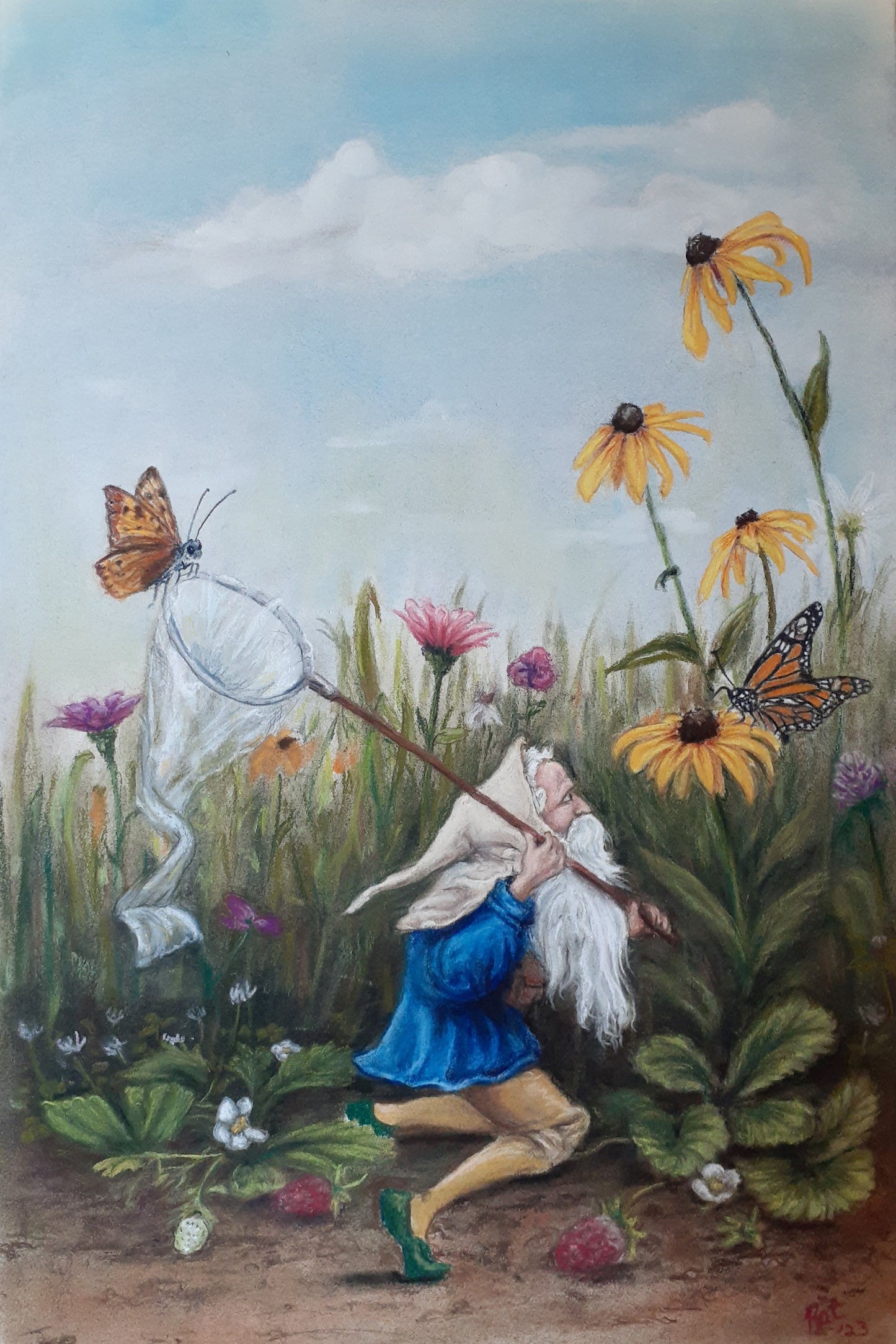 The Butterfly Catcher