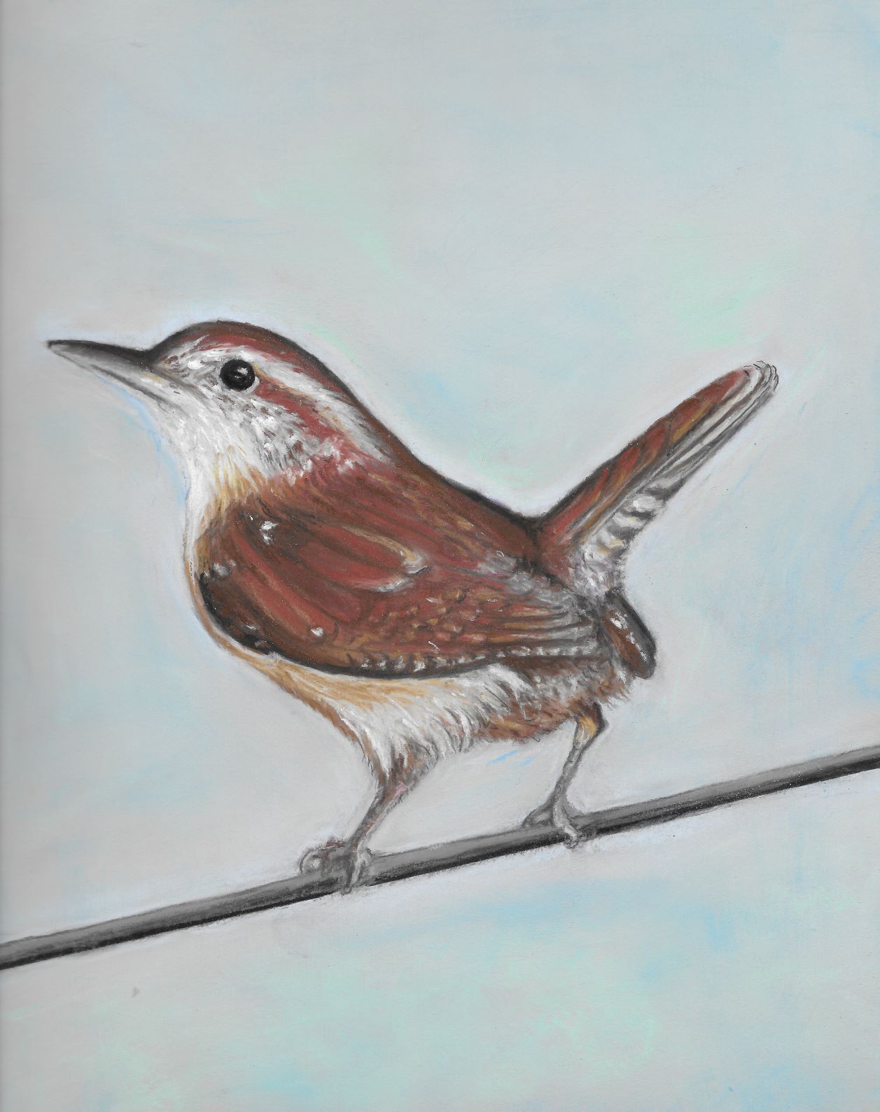 Wren