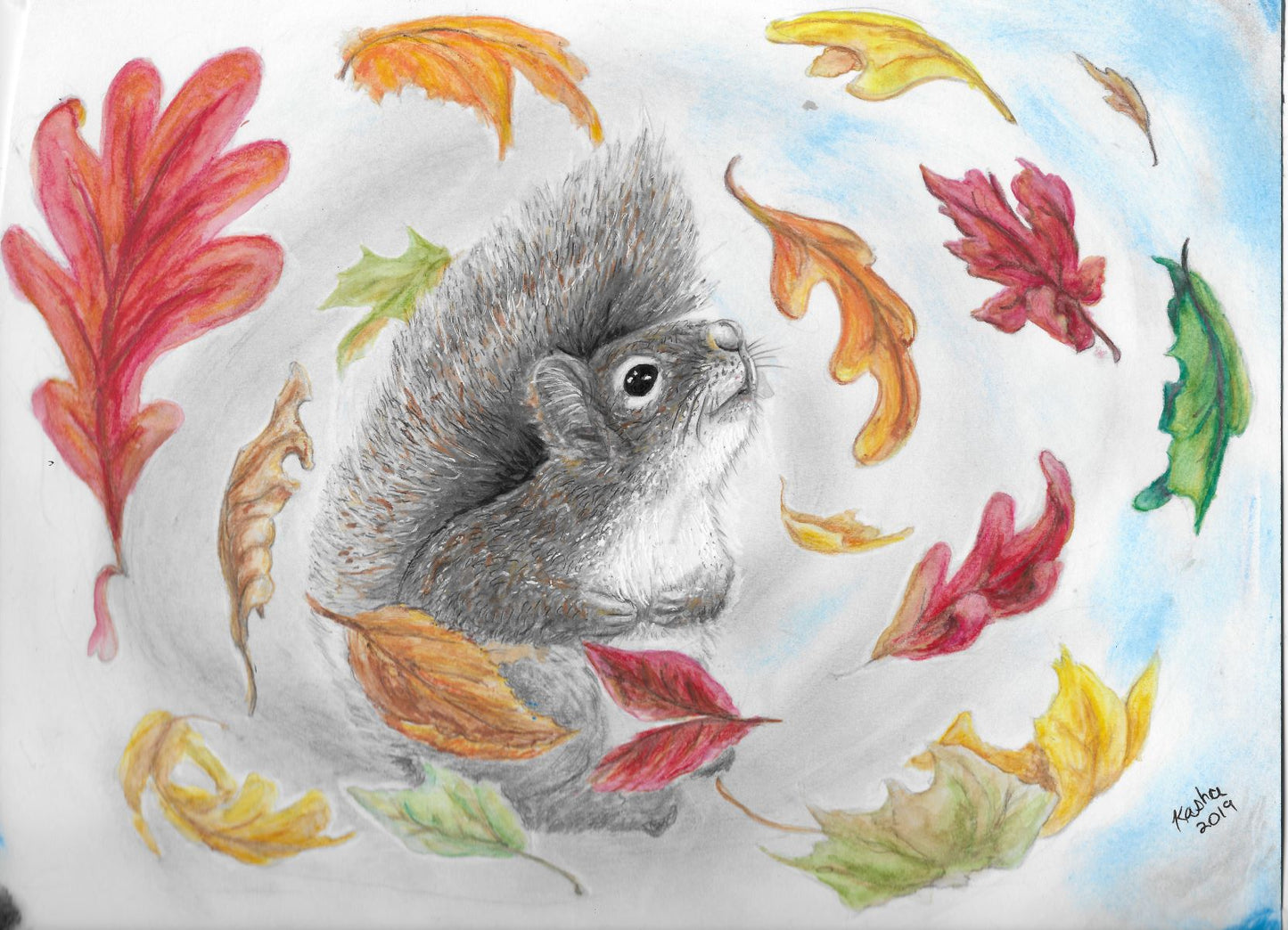 Autumn Wonder