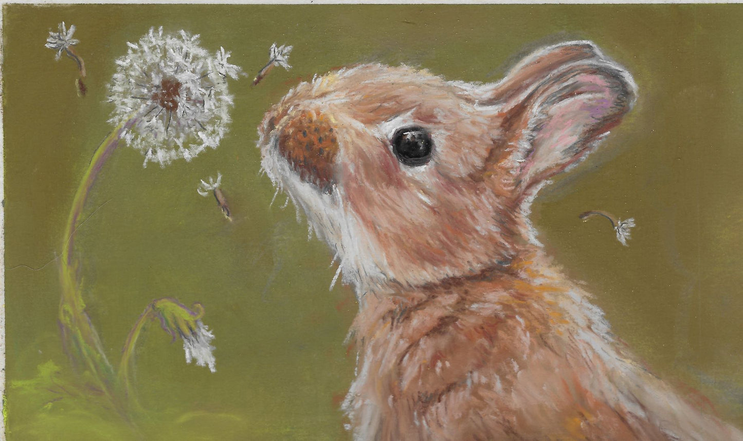 Dandelion Discovery