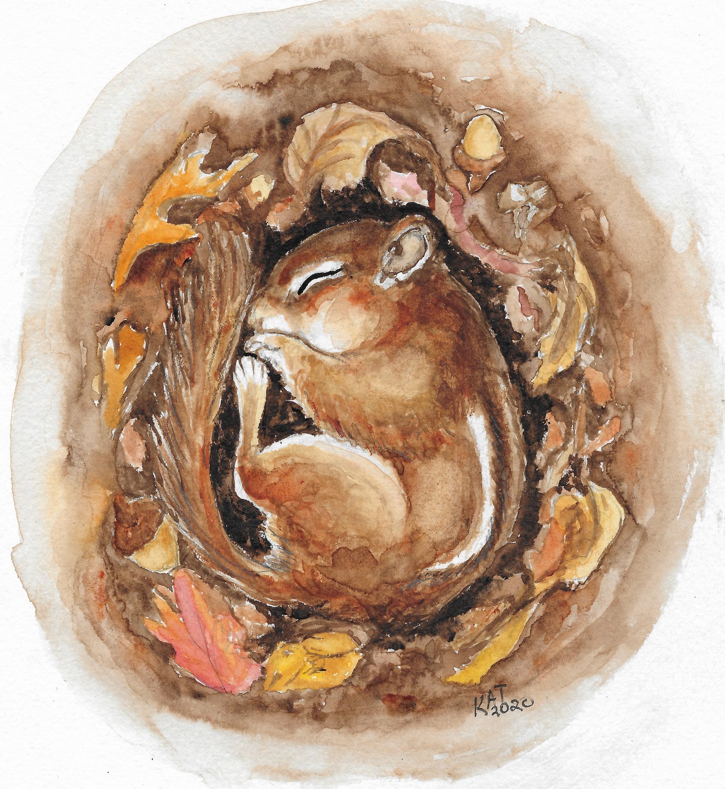 Sleeping Chipmunk