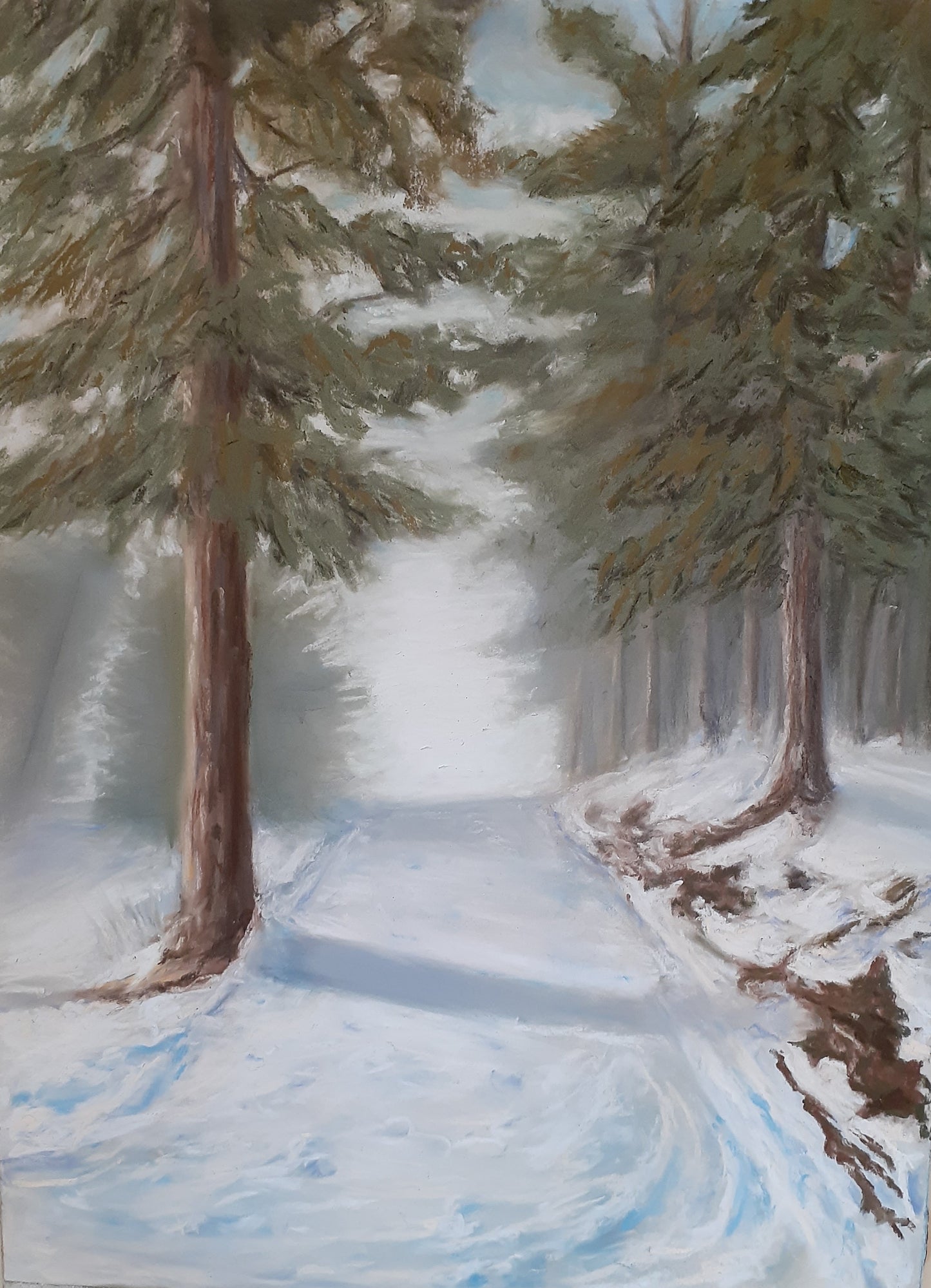 Snowscape